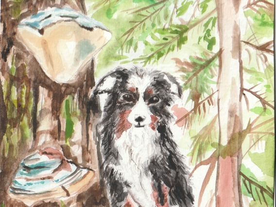 Dog on a Mushroom - watercolor