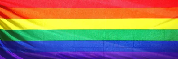 pride flag pride flag